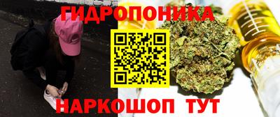 индика Краснознаменск
