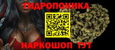 индика Краснознаменск