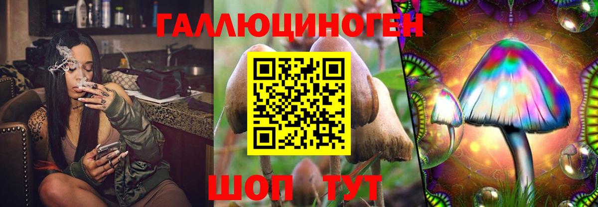 Псилоцибиновые грибы ЛСД Шебекино